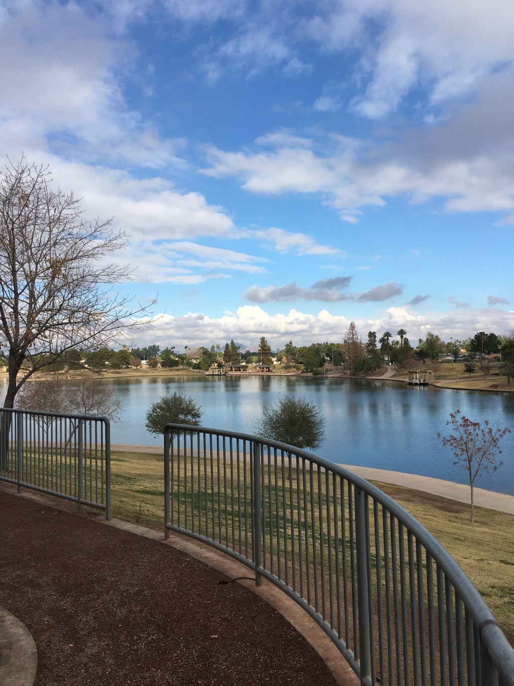 Pressing Forward into&nbsp;2020