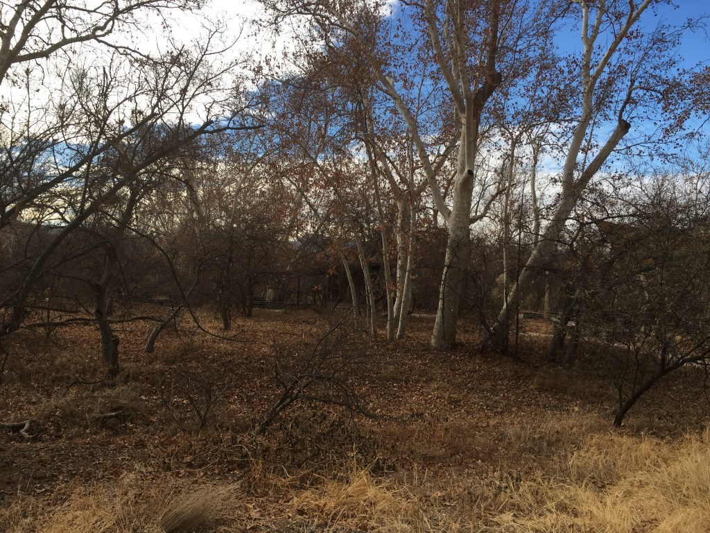 Developing A New Mind&nbsp;Set